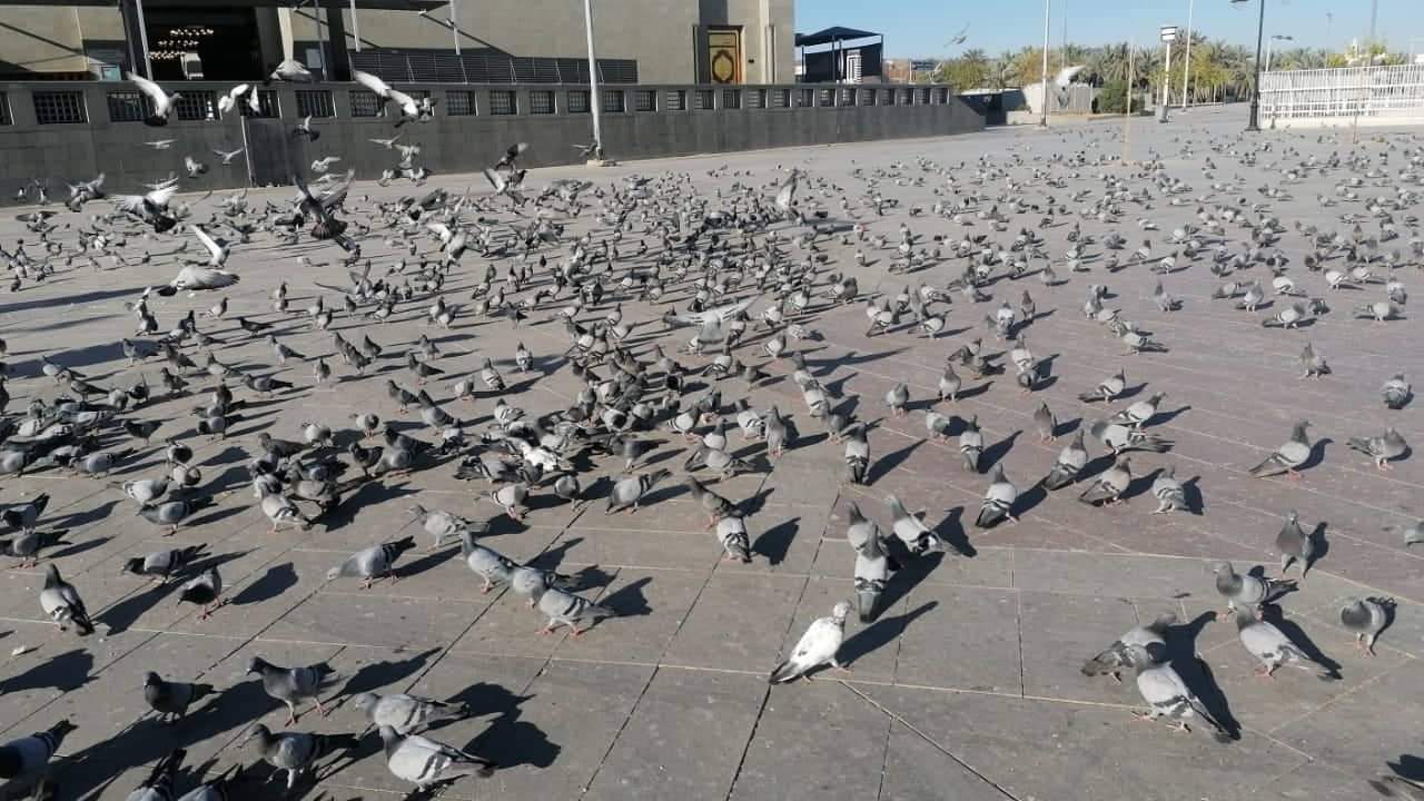 received_455576425928323