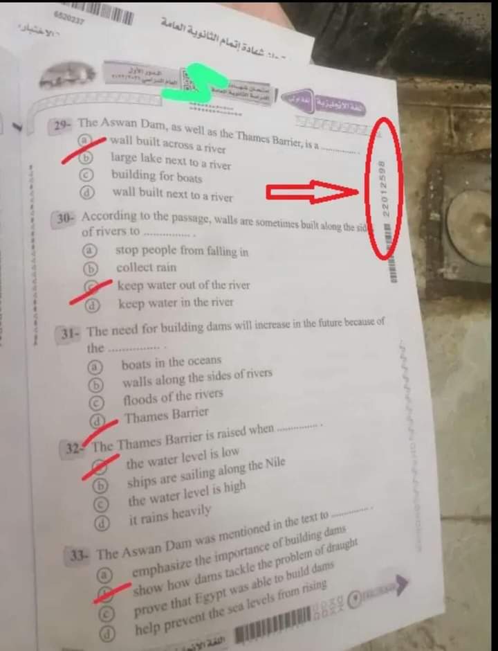 FB_IMG_1657184530750