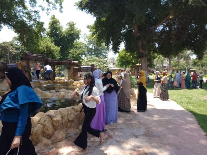 FB_IMG_1657649685387