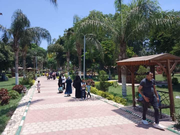 FB_IMG_1657649676807