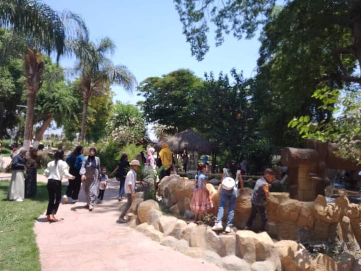 FB_IMG_1657649674665