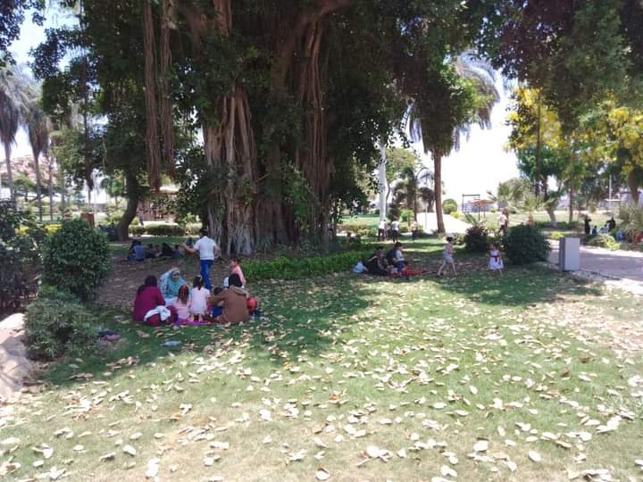 FB_IMG_1657649666617