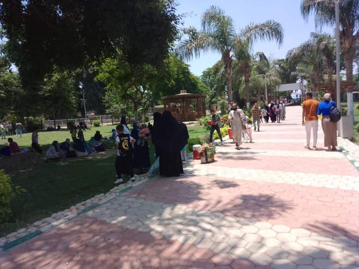 FB_IMG_1657649663891