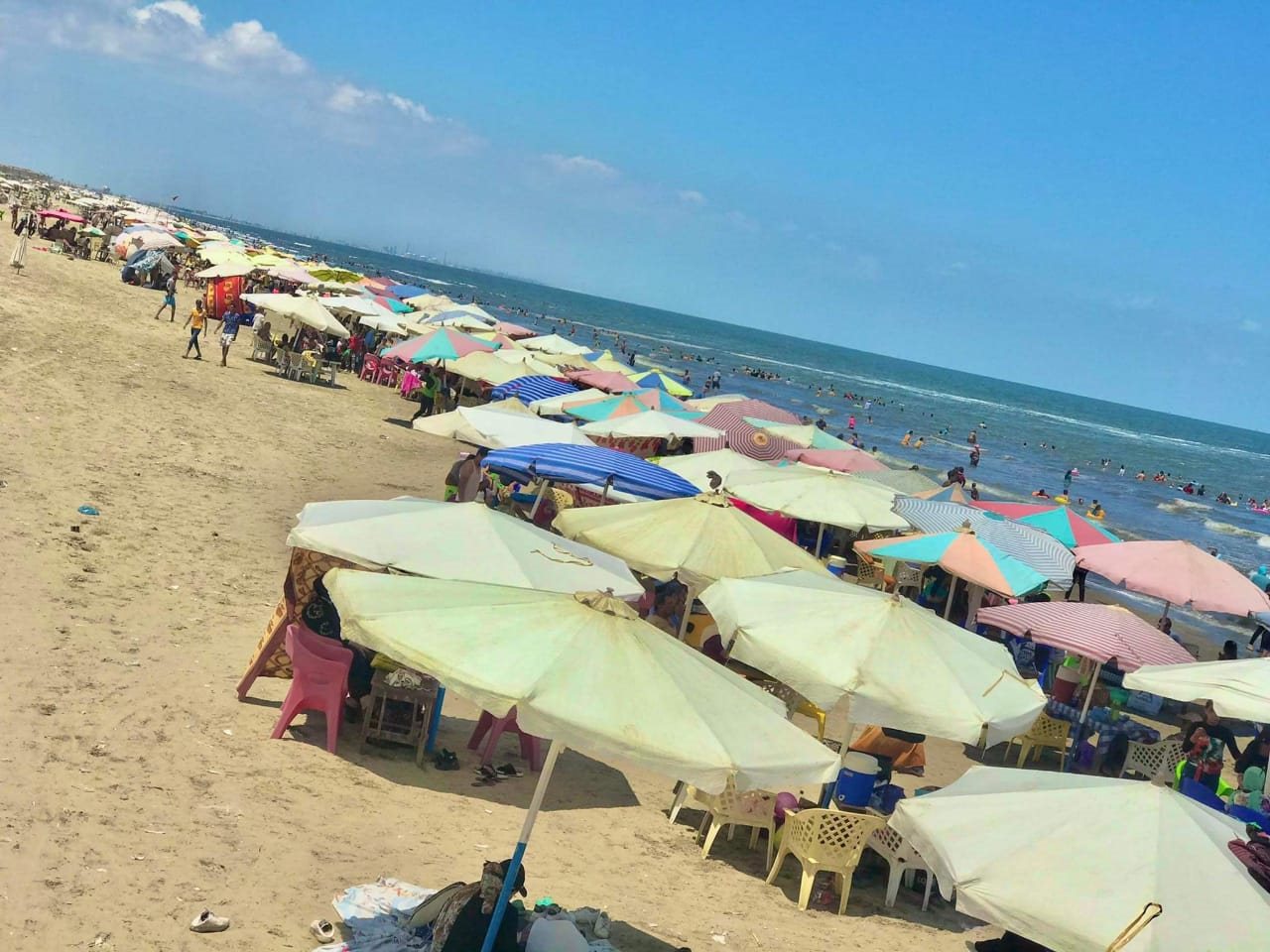 WhatsApp Image 2022-08-12 at 2.46.44 PM