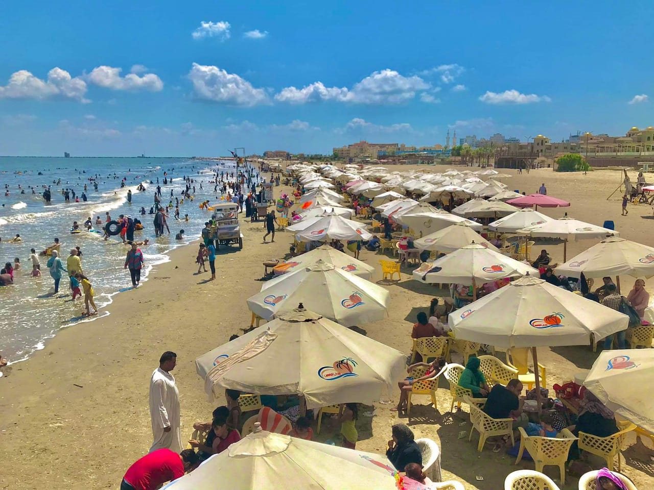 WhatsApp Image 2022-08-12 at 2.46.45 PM (1)