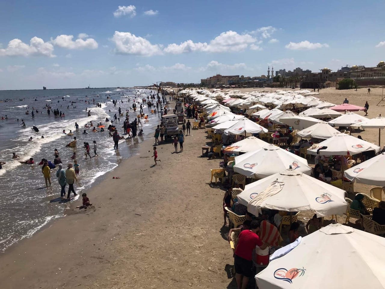 WhatsApp Image 2022-08-12 at 2.46.45 PM