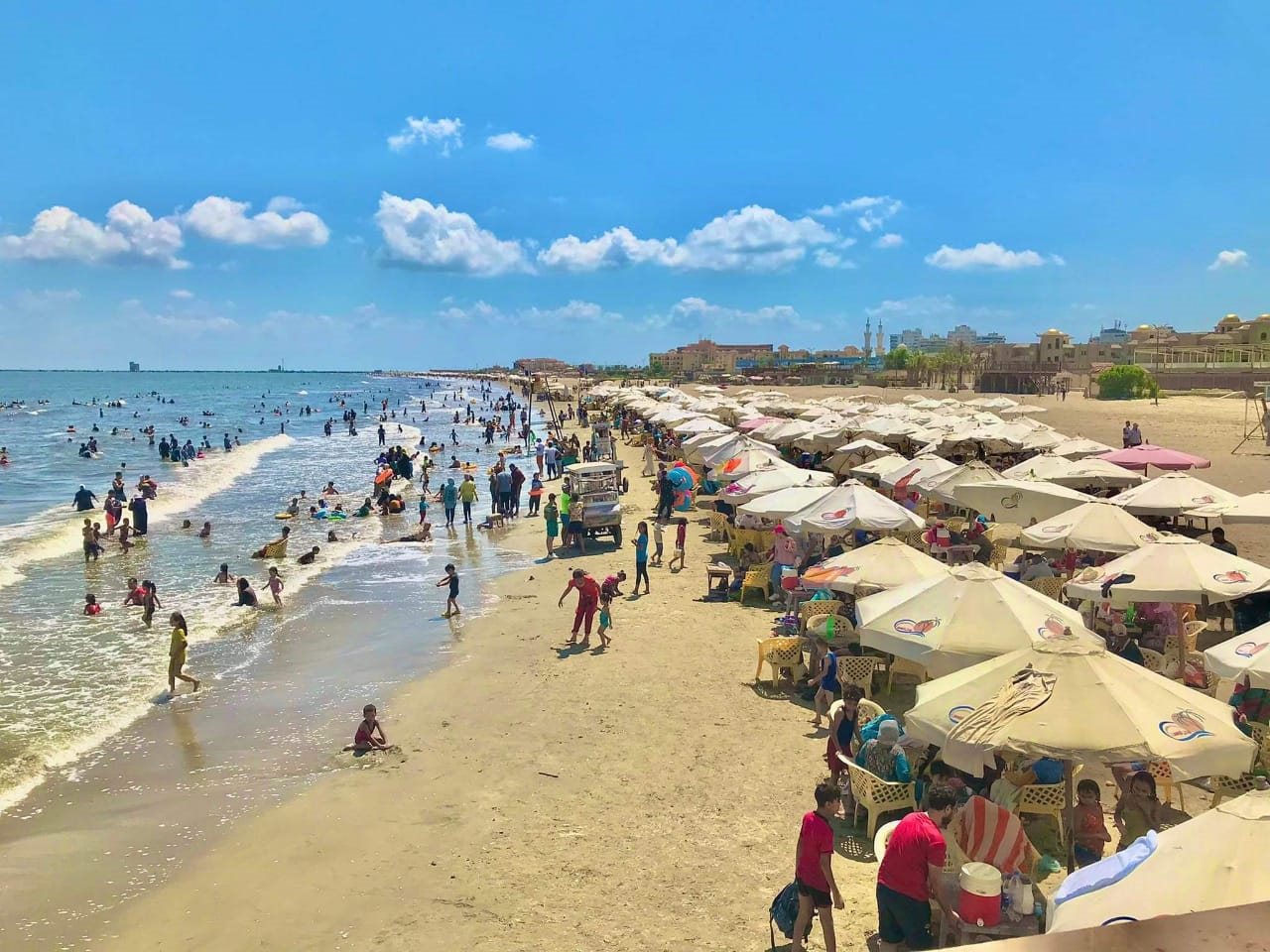 WhatsApp Image 2022-08-12 at 2.46.46 PM