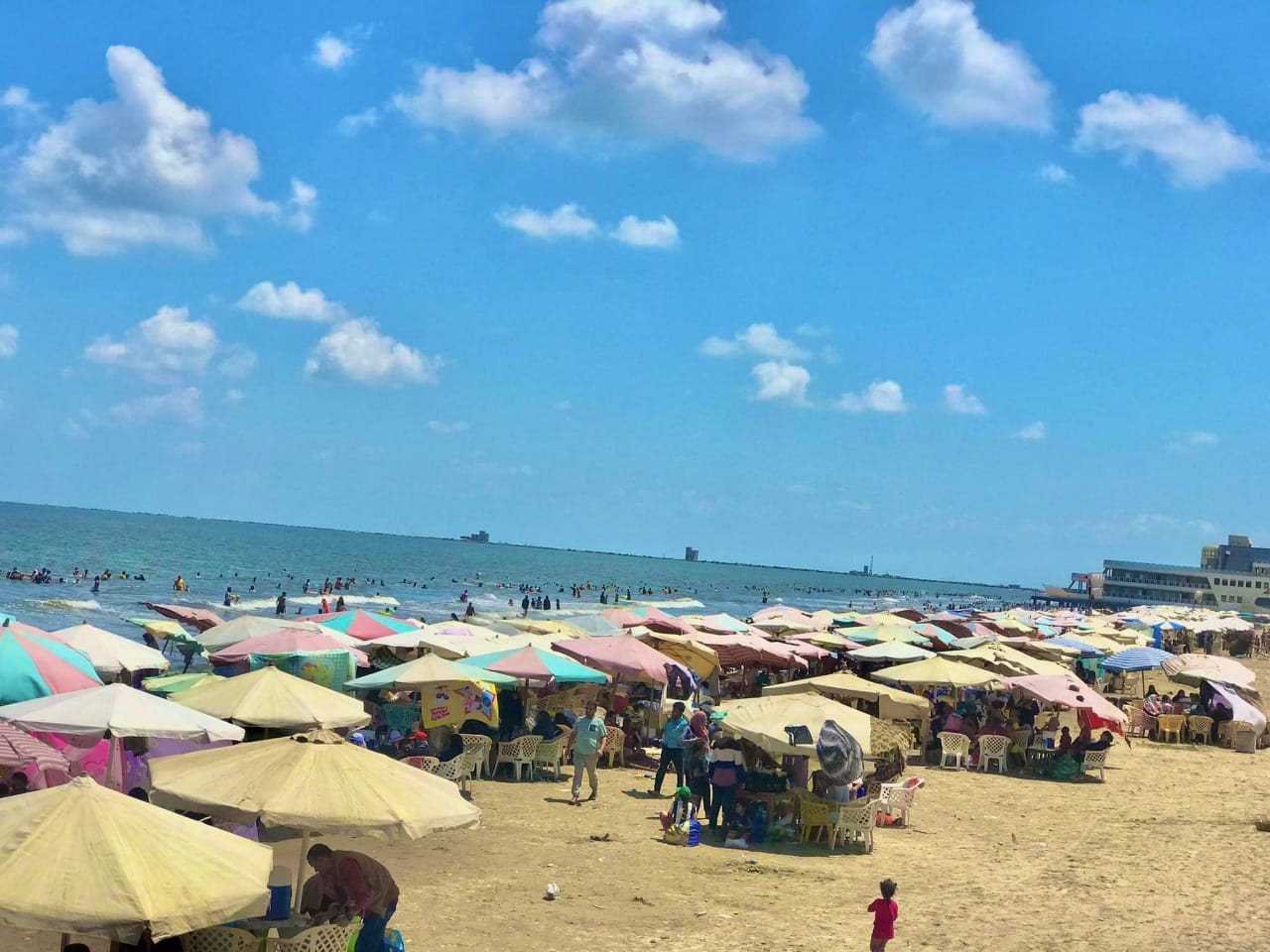 WhatsApp Image 2022-08-12 at 2.46.47 PM