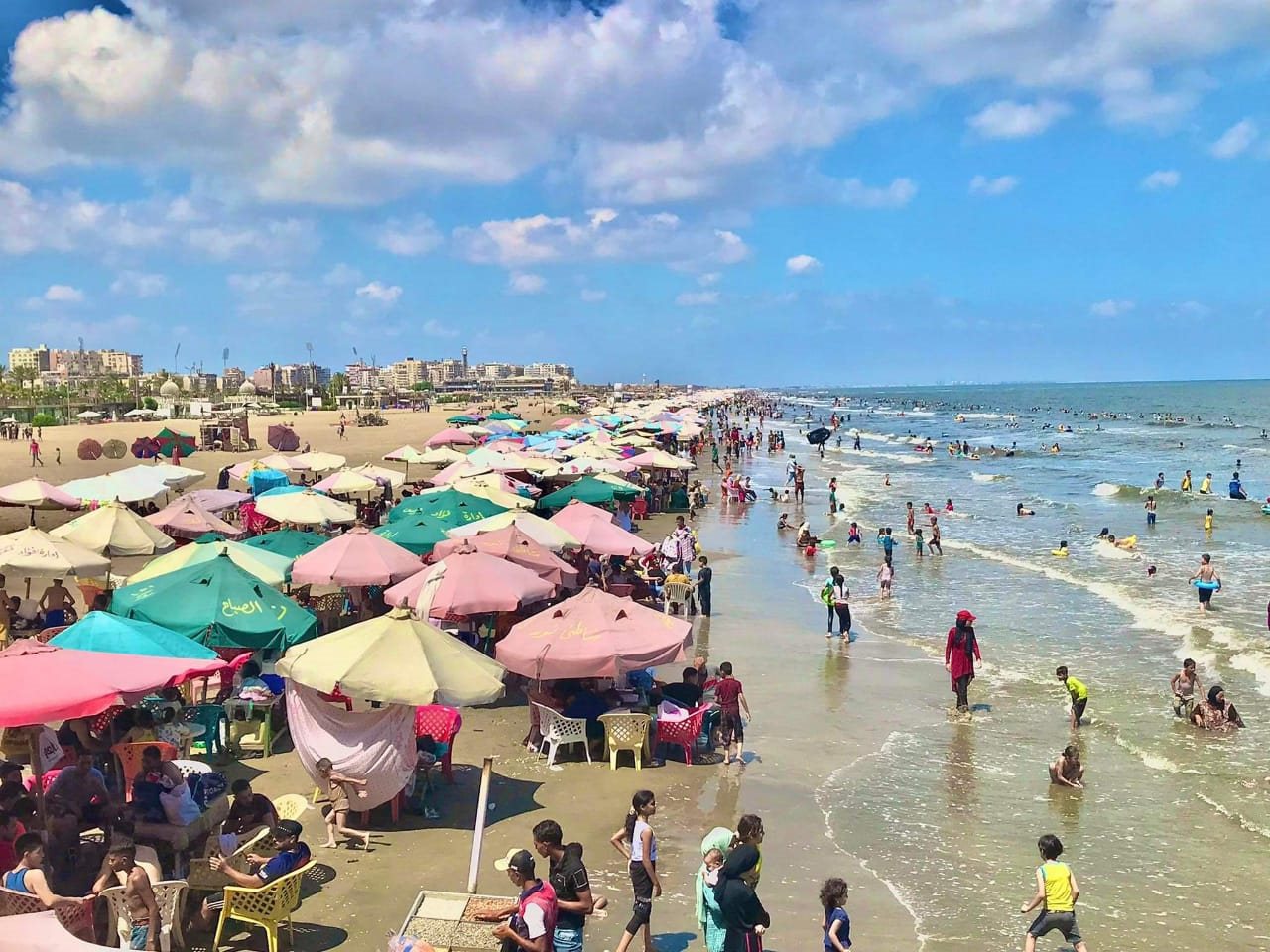 WhatsApp Image 2022-08-12 at 2.46.48 PM