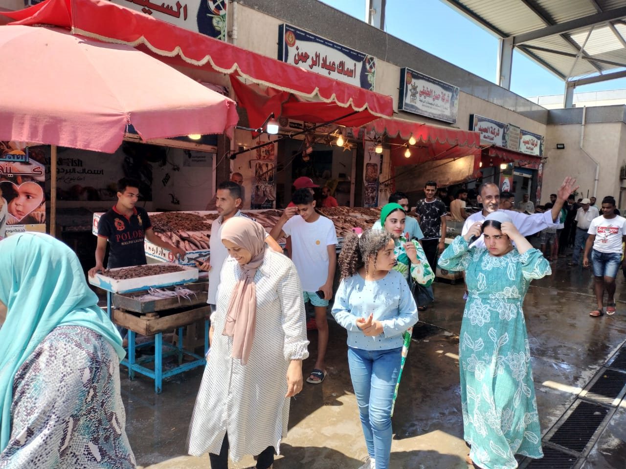 WhatsApp Image 2022-08-12 at 2.46.36 PM (1)