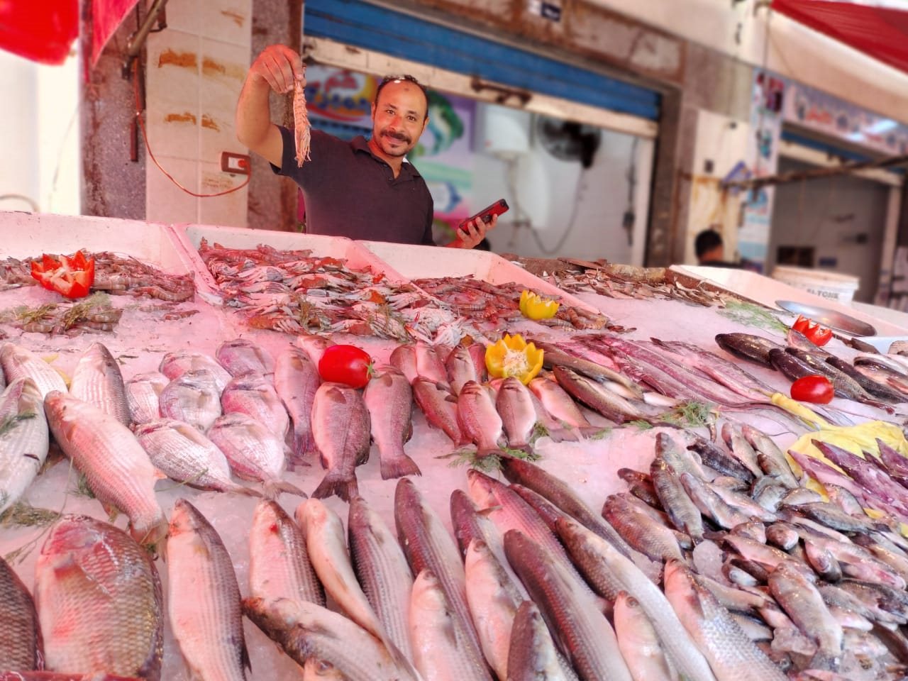 WhatsApp Image 2022-08-12 at 2.46.40 PM (1)