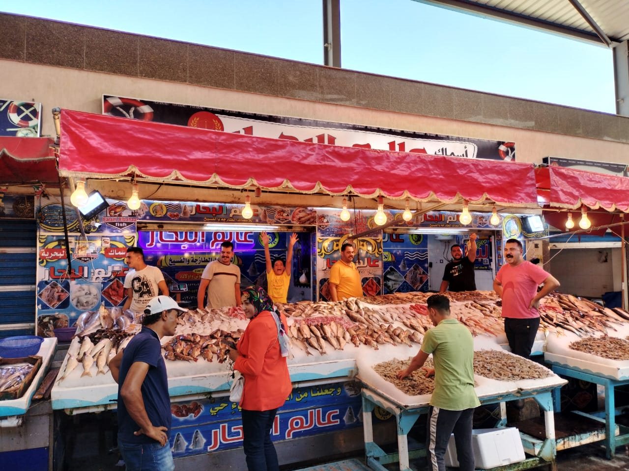 WhatsApp Image 2022-08-12 at 2.46.40 PM