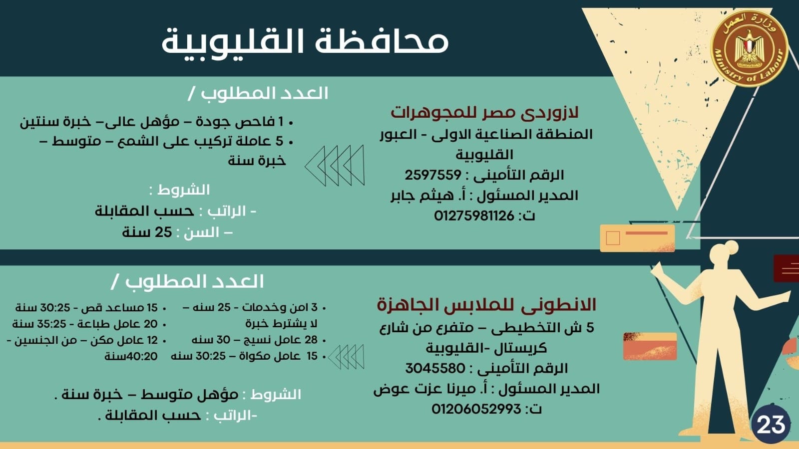 نشرة توظيف وزارة العمل (28)