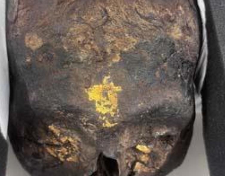 Screenshot_٢٠٢٤-١٠-١٢-١٣-٣٢-٢٣-١٧_40deb401b9ffe8e1df2f1cc5ba480b12