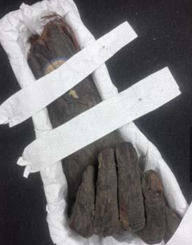 Screenshot_٢٠٢٤-١٠-١٢-١٣-٣٢-٠٠-١٧_40deb401b9ffe8e1df2f1cc5ba480b12