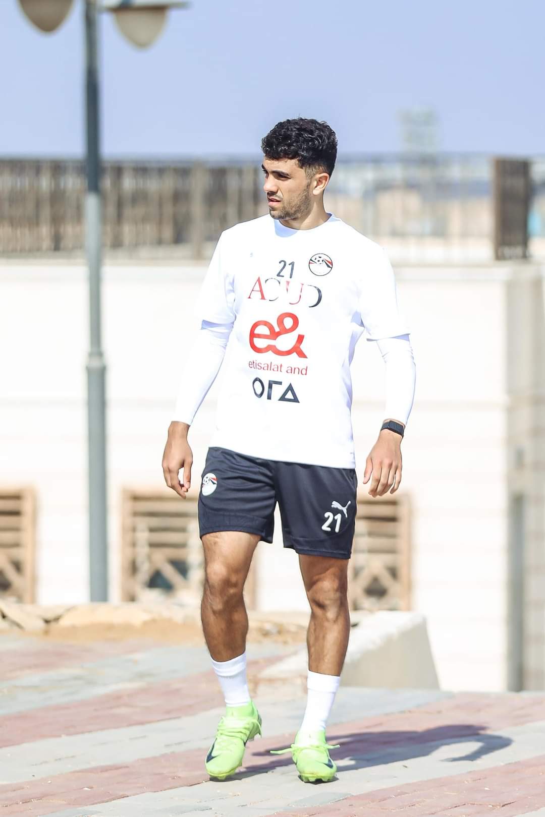 FB_IMG_1731499653826