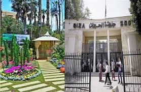 هل تزيد أسعار دخول حديقة الحيوان بعد التطوير؟ - بوابة الأهرام