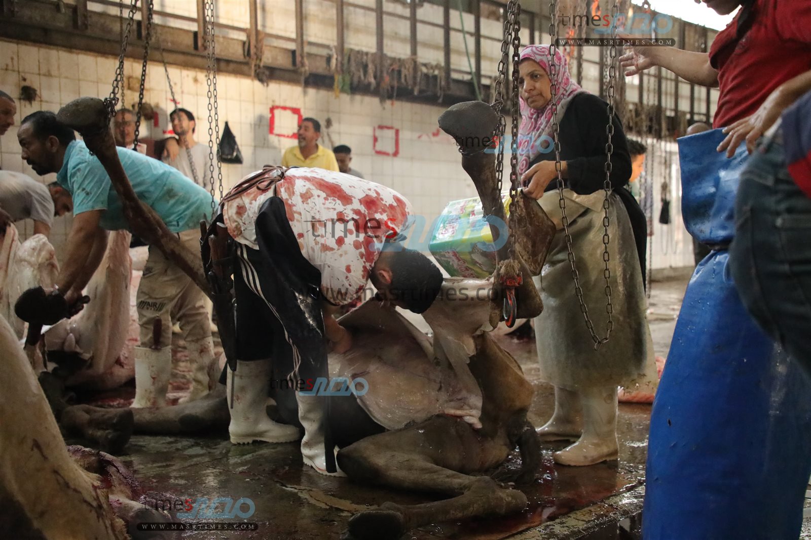 WhatsApp Image 2025-06-02 at 1.15.40 PM (1)