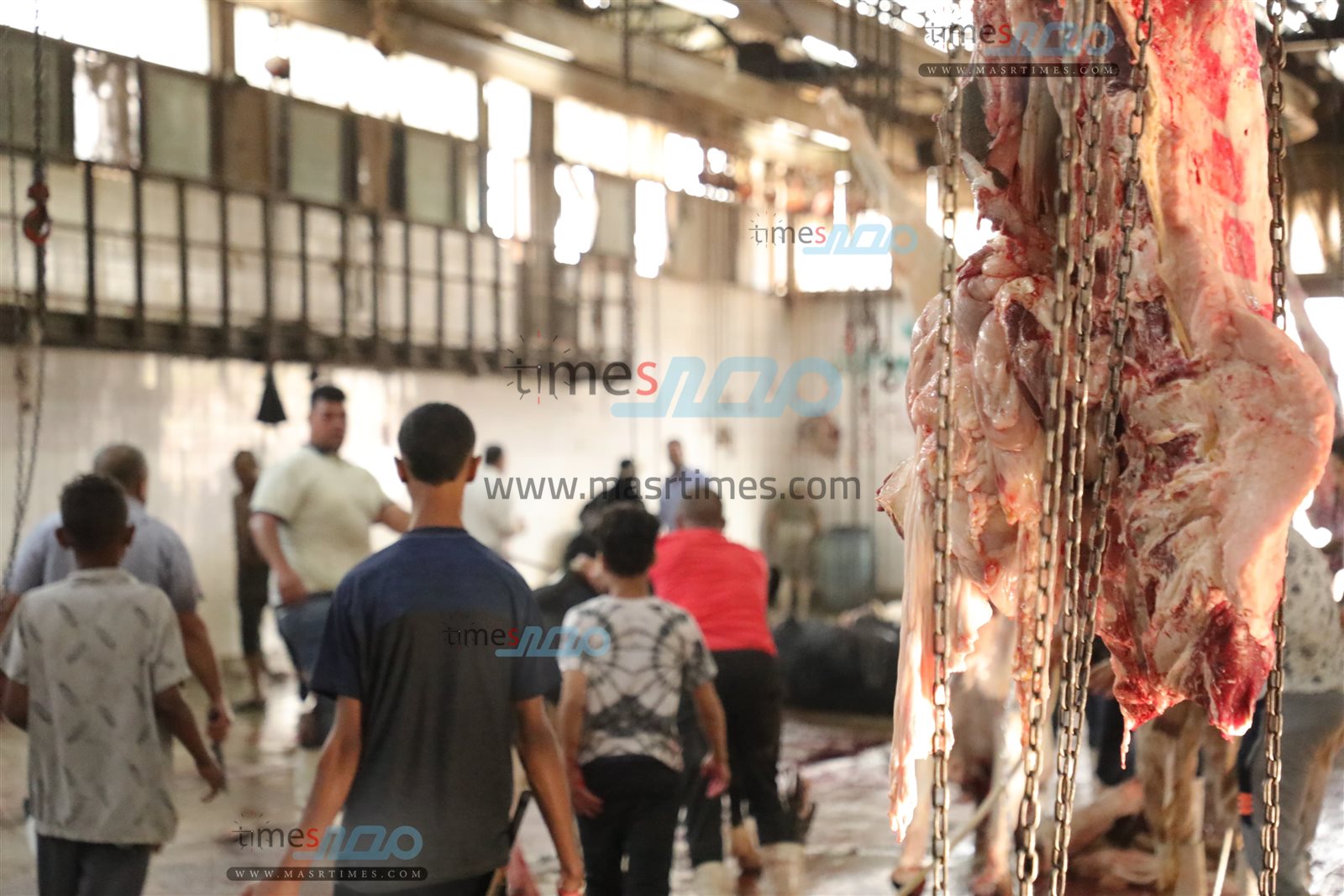 WhatsApp Image 2025-06-02 at 1.15.40 PM