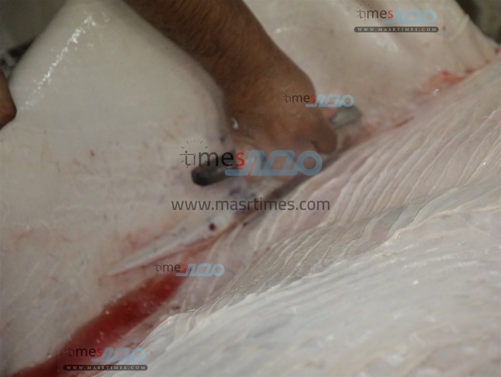 WhatsApp Image 2025-06-02 at 1.16.34 PM