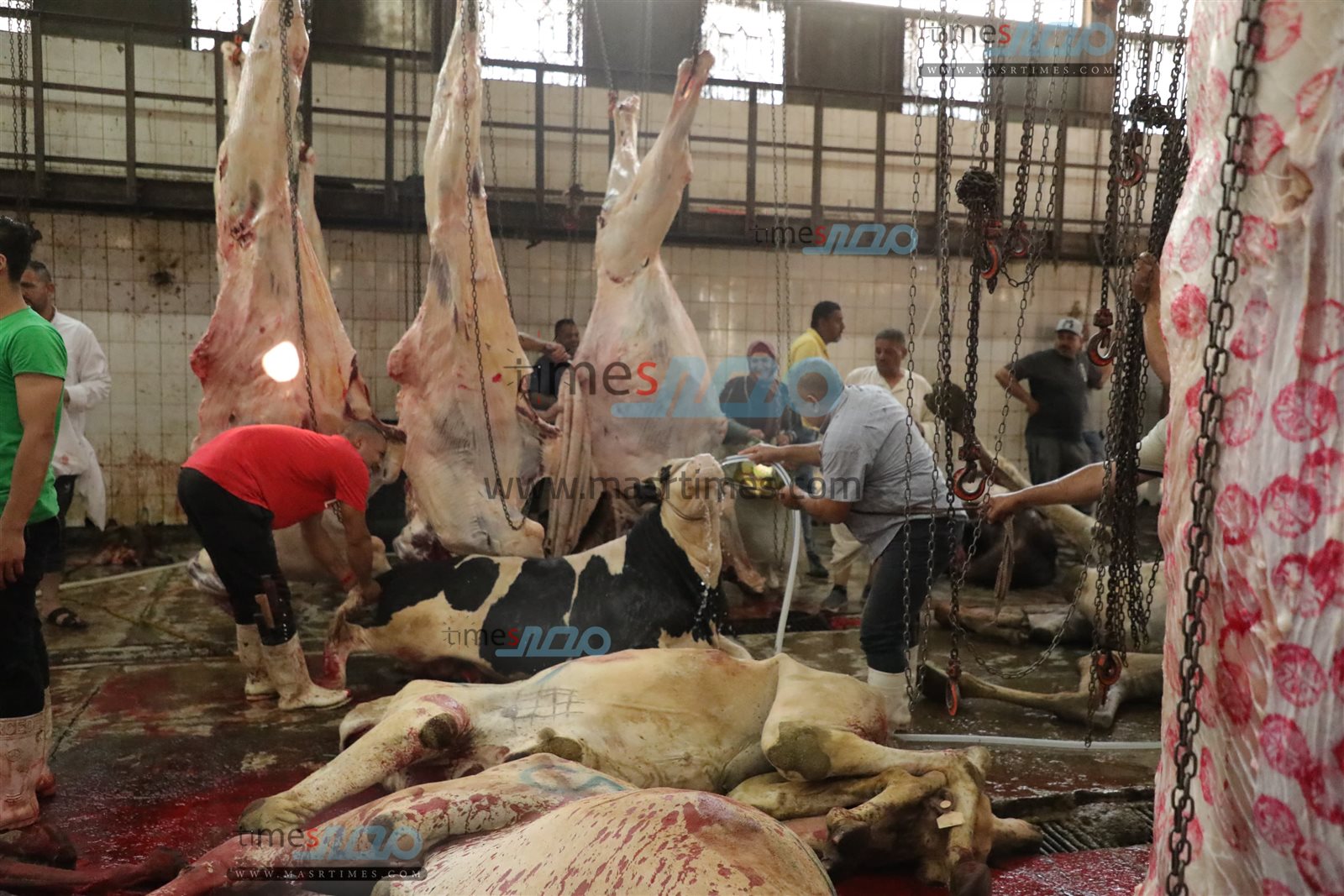 WhatsApp Image 2025-06-02 at 1.17.04 PM