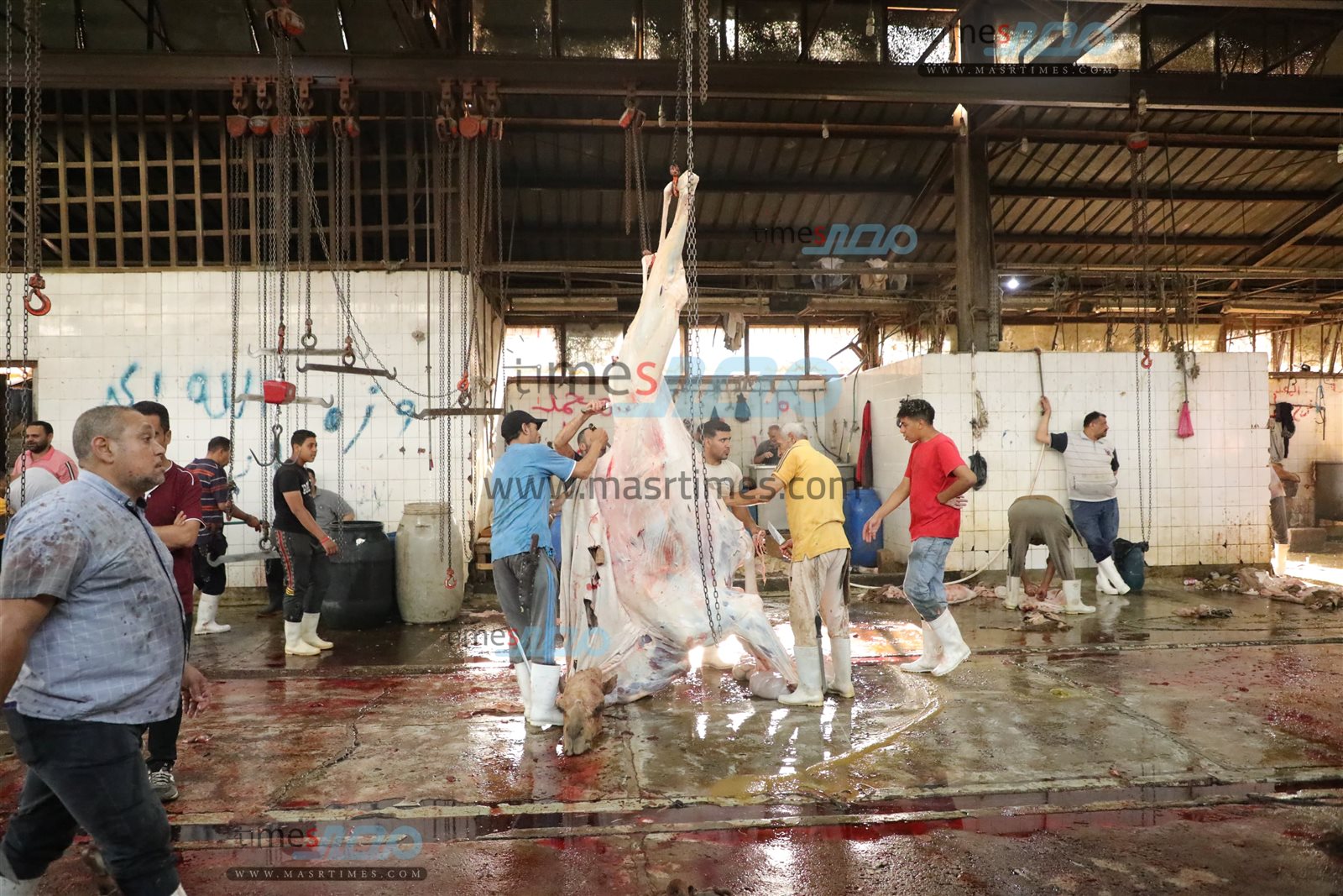 WhatsApp Image 2025-06-02 at 1.17.14 PM