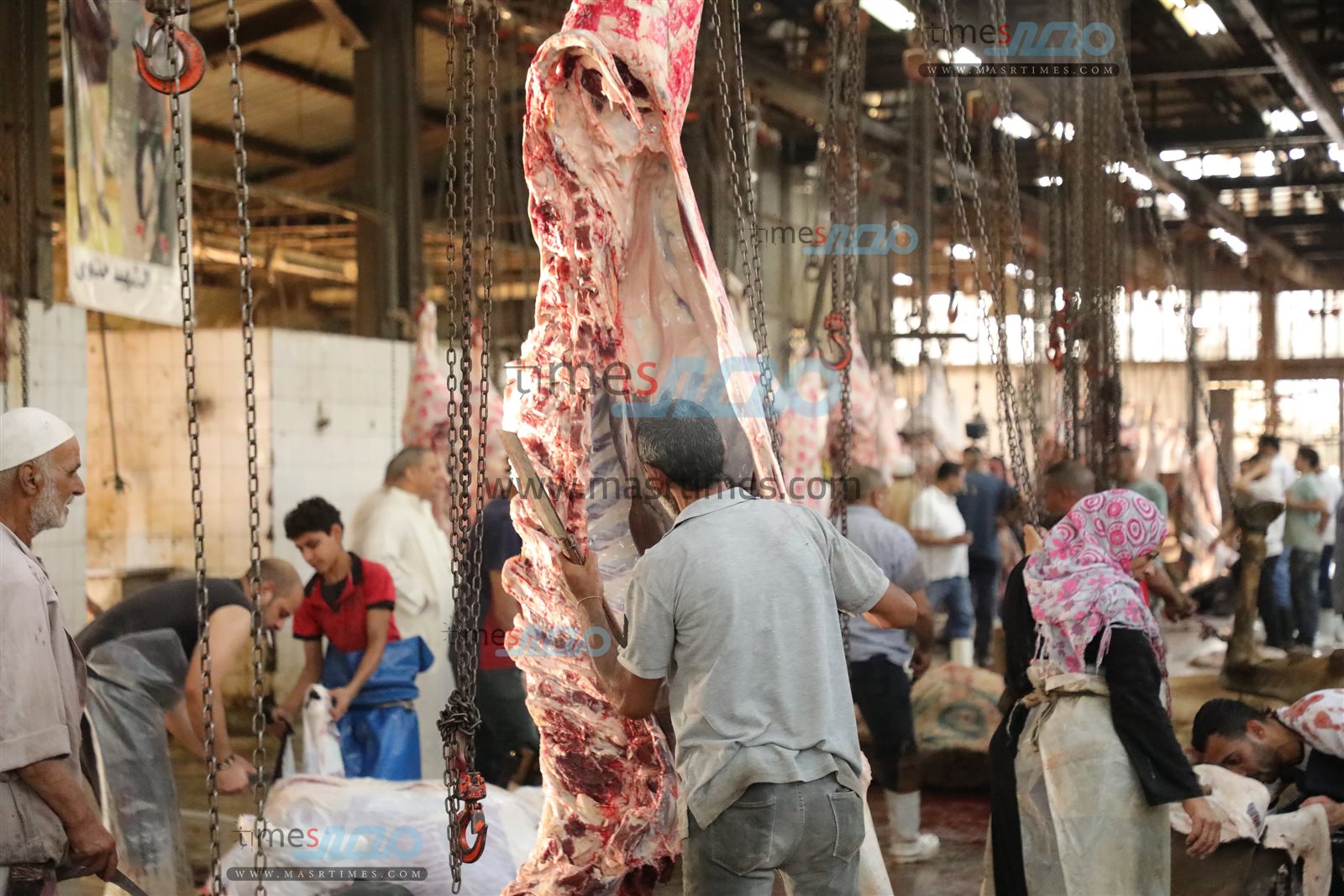 WhatsApp Image 2025-06-02 at 1.17.19 PM