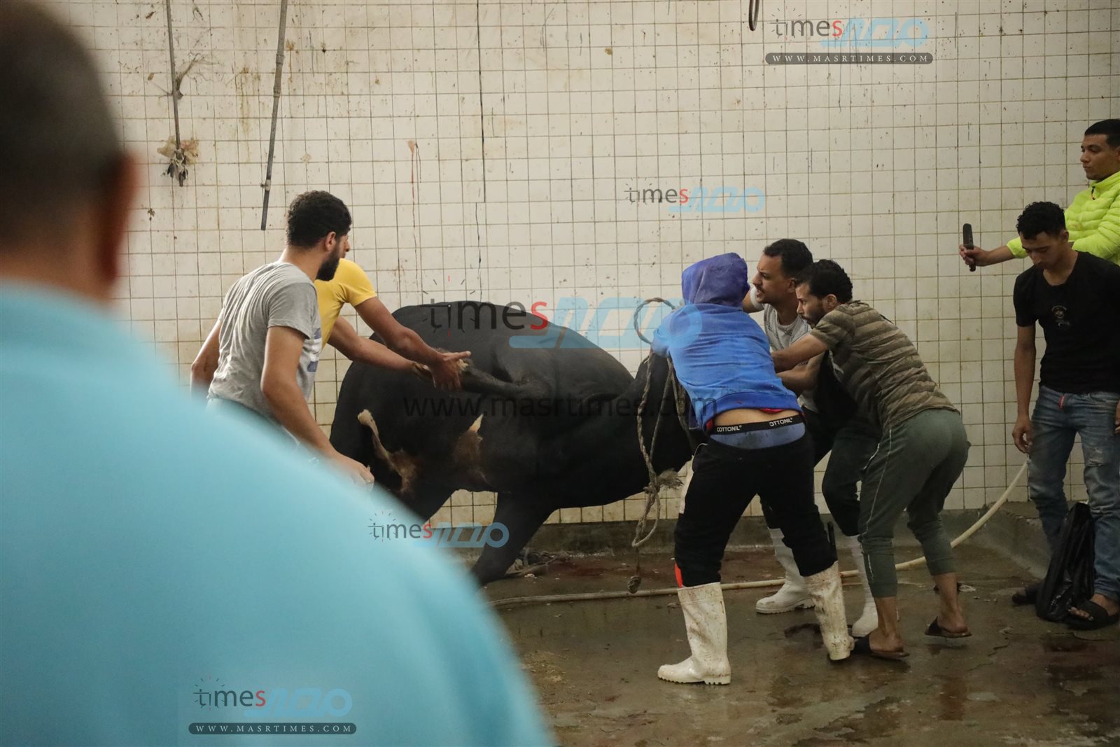 WhatsApp Image 2025-06-02 at 1.18.16 PM (1)