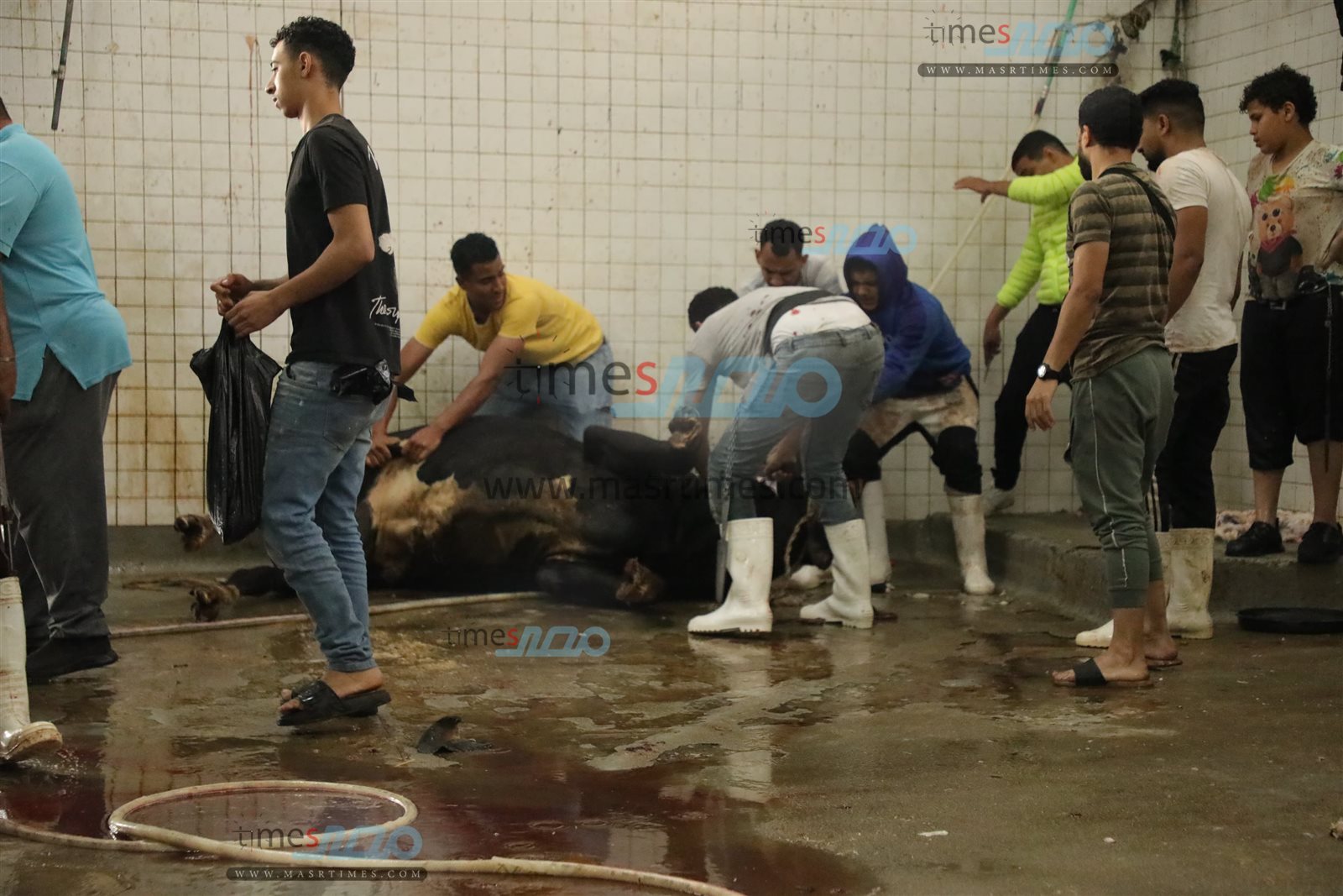 WhatsApp Image 2025-06-02 at 1.18.16 PM (2)