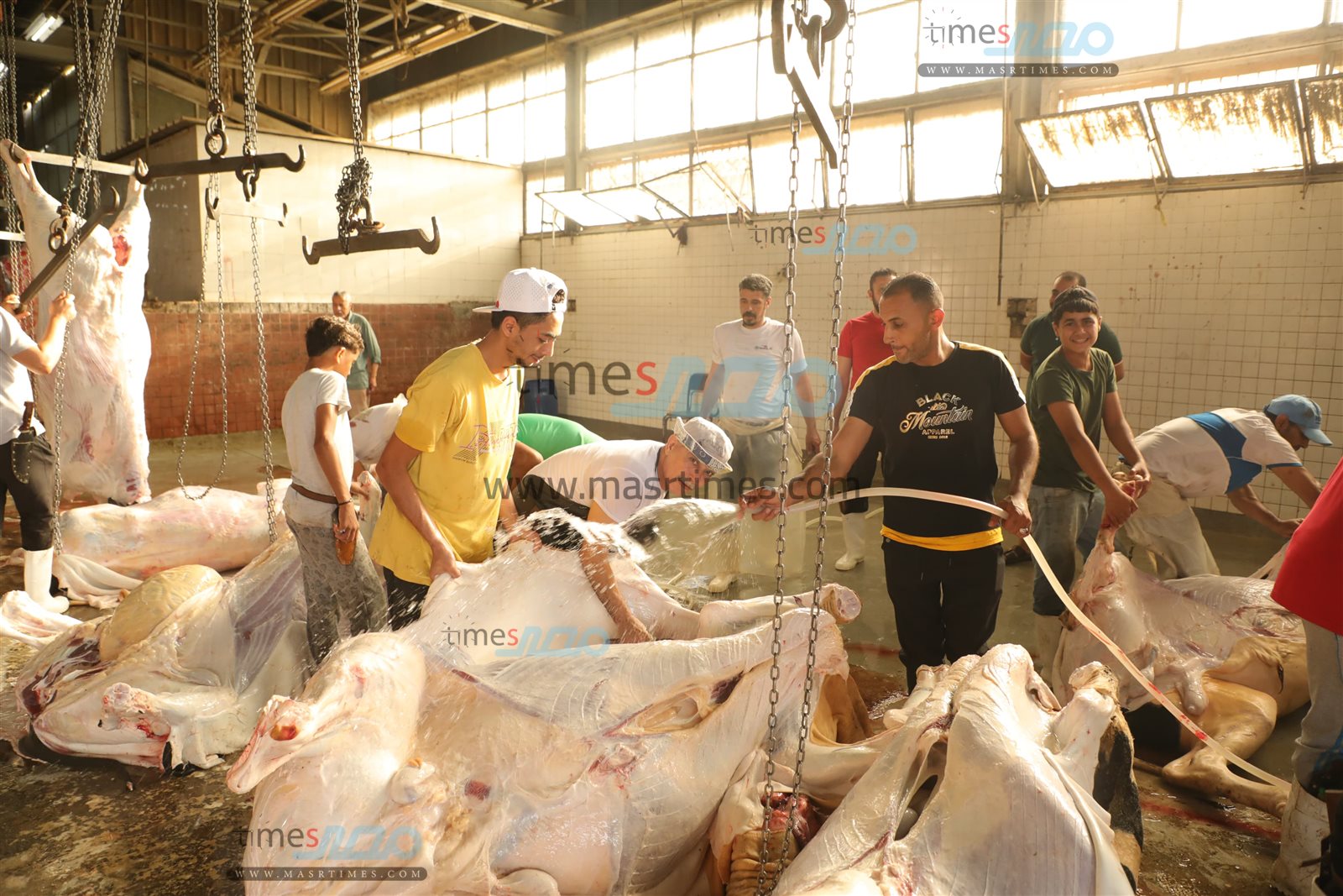 WhatsApp Image 2025-06-02 at 1.21.13 PM