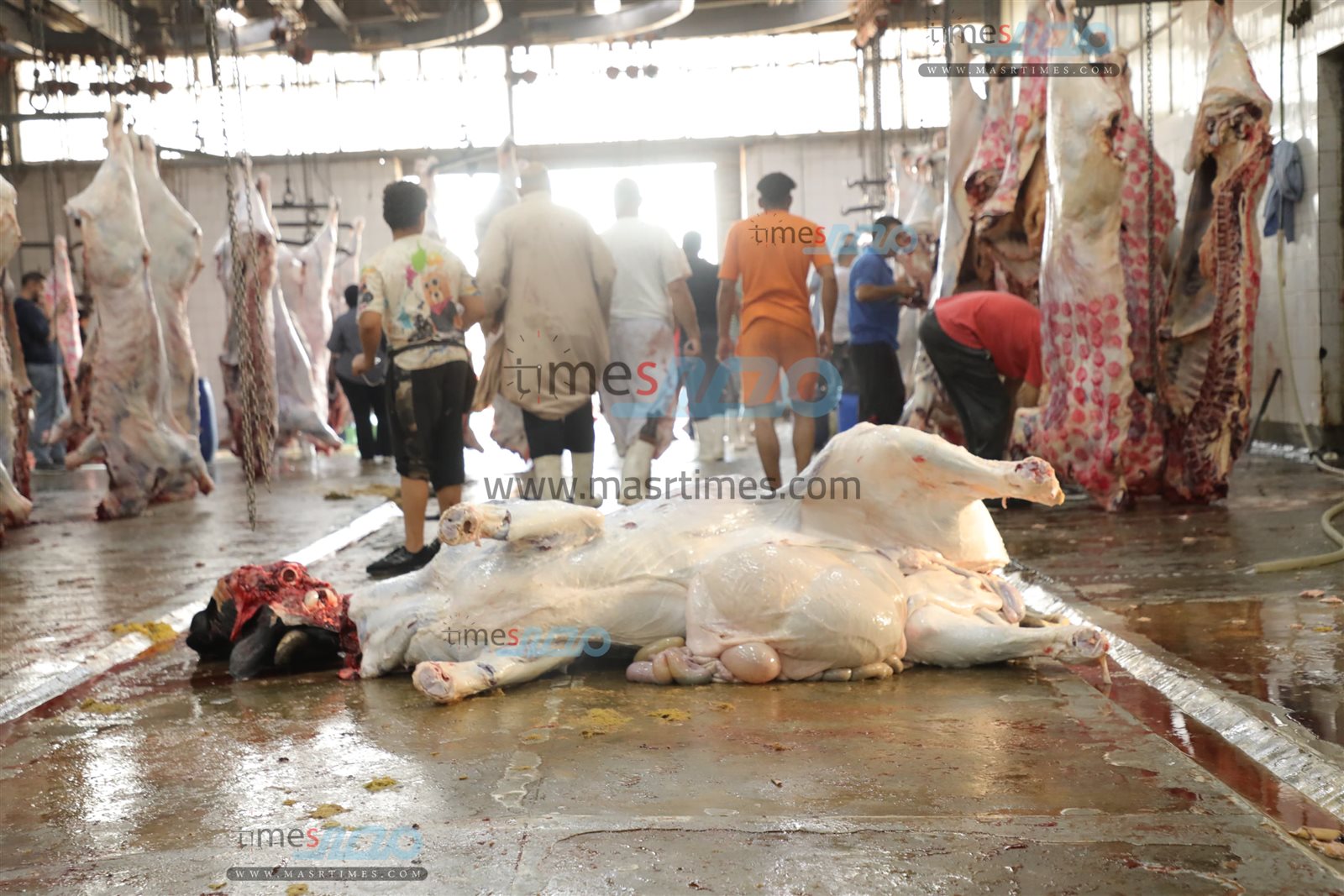 WhatsApp Image 2025-06-02 at 1.21.20 PM