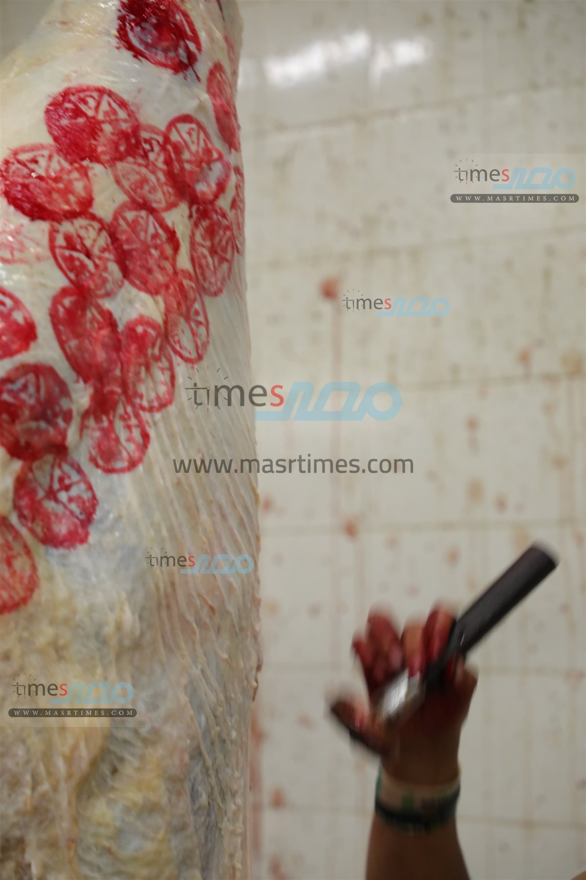 WhatsApp Image 2025-06-02 at 1.21.29 PM