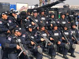 الشرطة النسائية على الطريق نحو النجاح.. درع الحماية وأيقونة التفوق فى وزارة  الداخلية.. الأيادي الناعمة فى القوات الخاصة والدفاع المدنى والأمن المركزى  تثبت جدارتها.. يكافحن النيران ويواجهن العنف ضد المرأة - اليوم