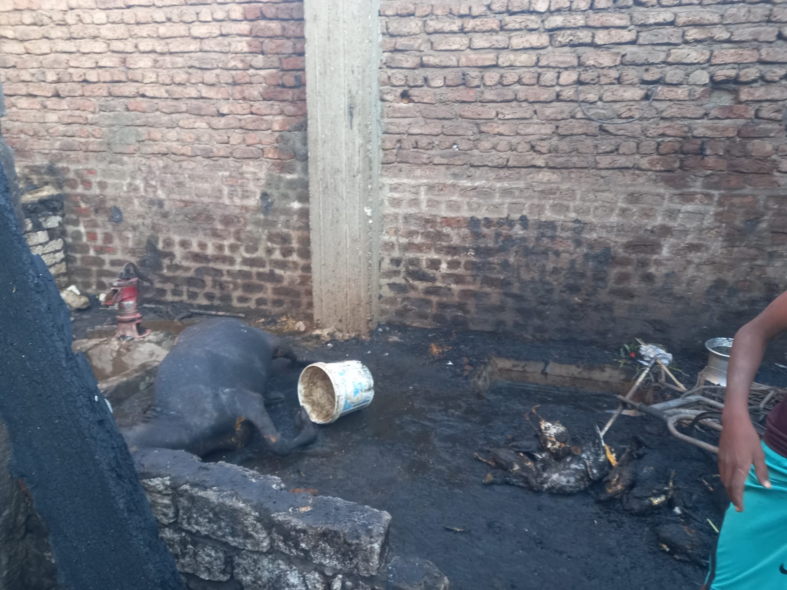 WhatsApp Image 2025-08-03 at 6.20.32 PM