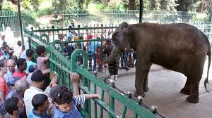 هل تصبح تذكرة حديقة الحيوان 400 جنيه؟ وزير الزراعة يحسم الجدل ويكشف موعد الافتتاح