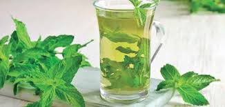 نصائح طبية .. فوائد شرب النعناع المغلي …؟ – الثورة نت