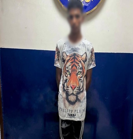 ca3e6655-e954-496f-b60a-103dd20b26ff