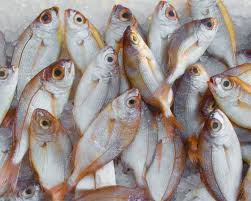 لو سمكة كبيرة افرحي.. تفسير حلم السمك الحي خارج الماء للمتزوجة