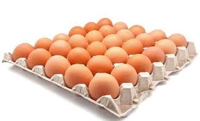 بيض أحمر أورجانيك – مزارع الزين للدواجن والبيض الأورجانيك