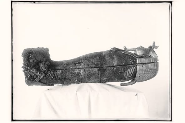 الملك توخ عن آمون  (6)