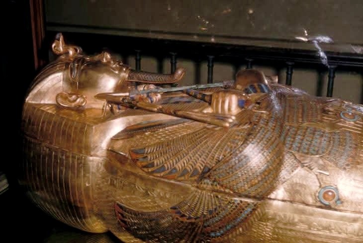 الملك توخ عن آمون  (8)