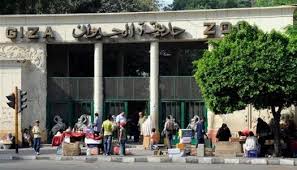 وزير الزراعة: تطوير حديقة الحيوان بالجيزة يتم على مراحل بالتعاون مع شركة عالمية - الوطن