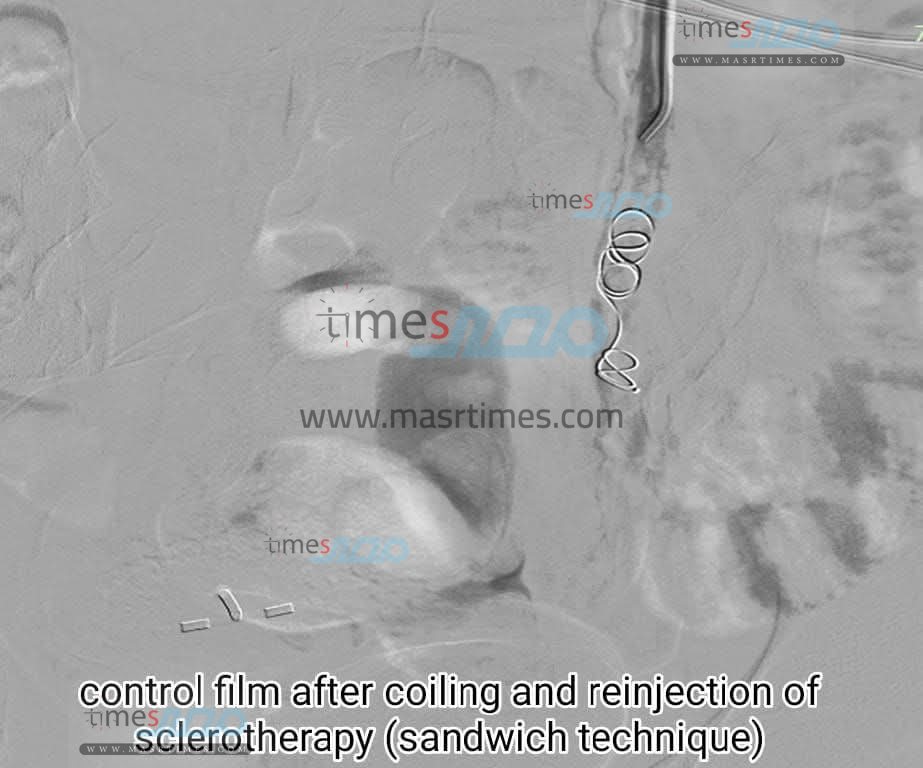 FB_IMG_1762464662381