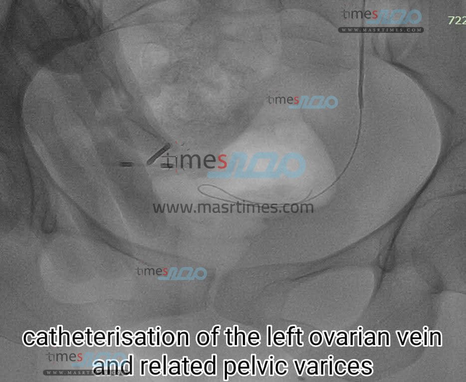 FB_IMG_1762464660299