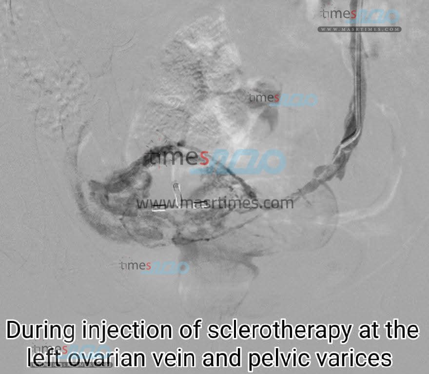 FB_IMG_1762464658187