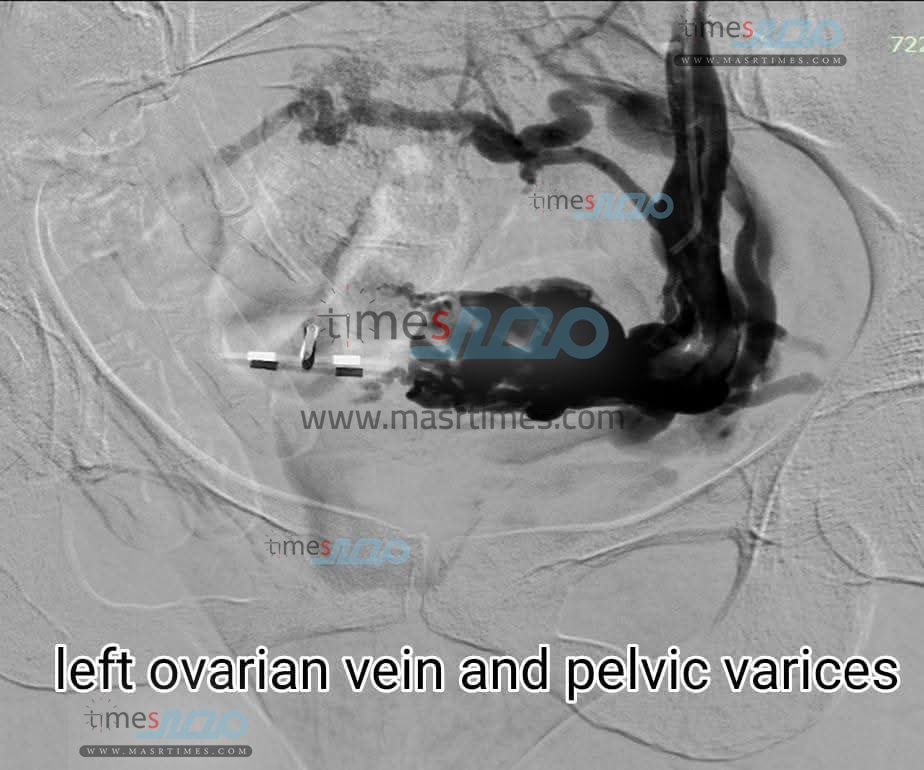 FB_IMG_1762464655989