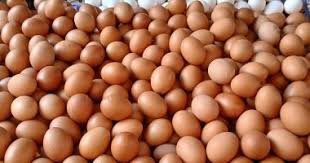 انخفاض سعر البيض بكفر الشيخ اليوم السبت 8 نوفمبر 2025.. 30 بيضة بـ120 جنيها - اليوم السابع