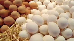 أسعار البيض تتراجع.. وفرة في الأسواق ومعاناة بالمزارع