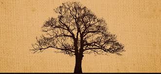 مؤسسة مؤمنون بلا حدود للدراسات والأبحاث - علم الأنساب