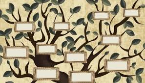 3 طرق لمعرفة شجرة العائلة.. منها «معجم قبائل مصر» - الوطن